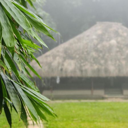 Bamboo Grove Bed & Breakfast Mananthavady Ngoại thất bức ảnh